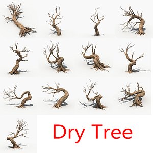 Dry Tree set