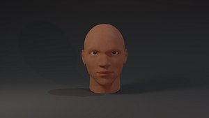 3D blender rig
