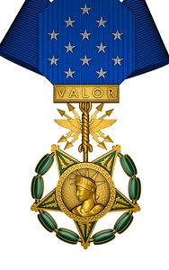 air force medal honor 3D model