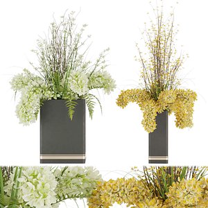 3D model Collection plant vol 56