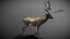 Deer Bronze Statue