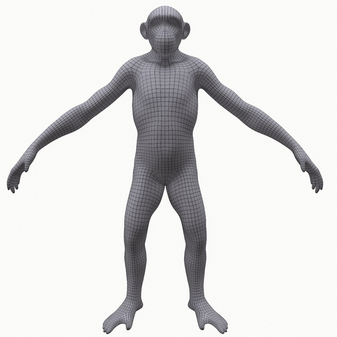 Base Mesh Primate 3D - TurboSquid 1403019