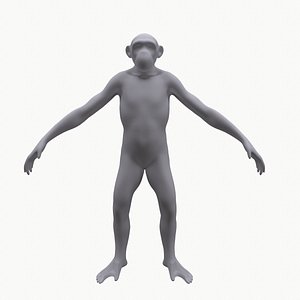 Base Mesh Primate Chimpanzee