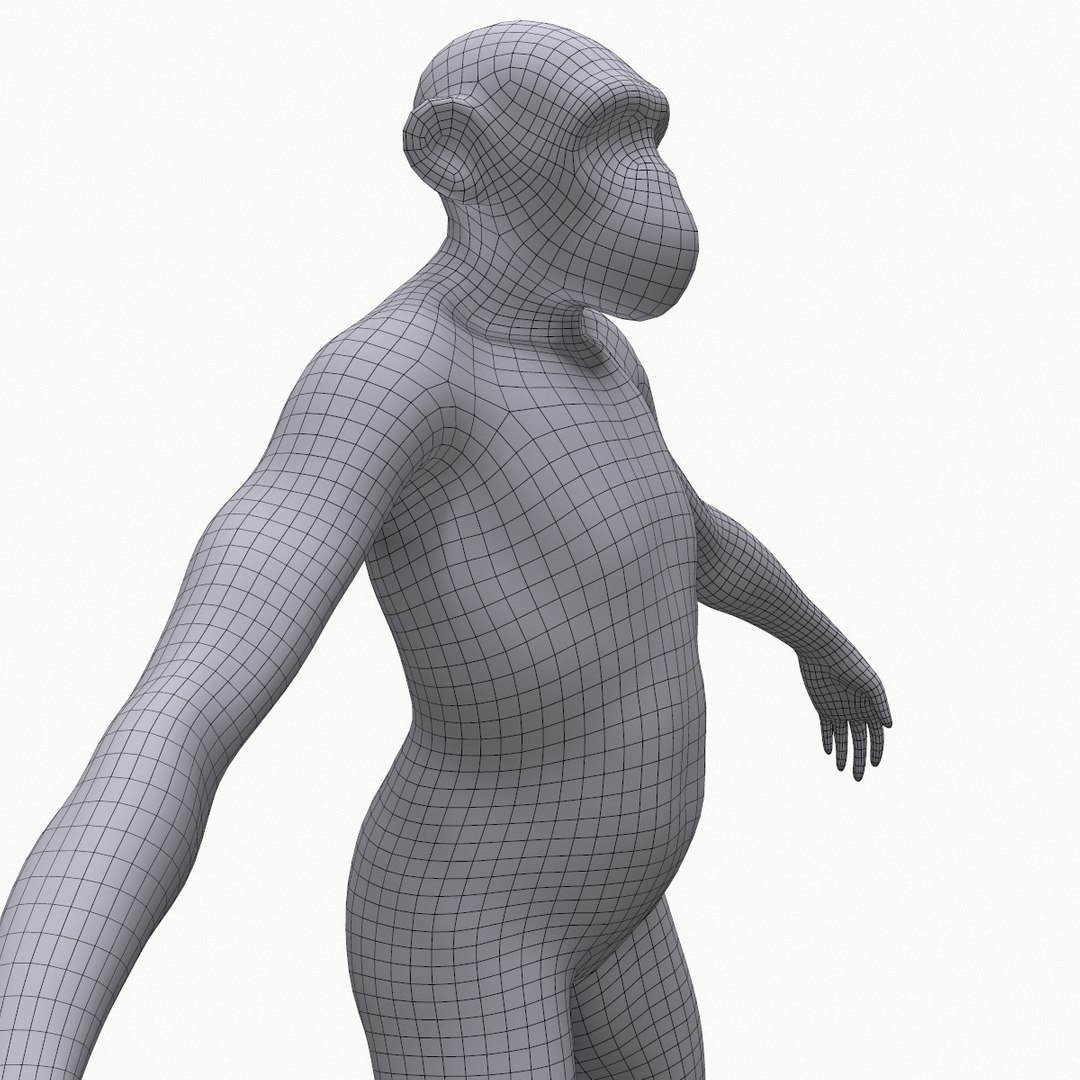 Base Mesh Primate 3D - TurboSquid 1403019