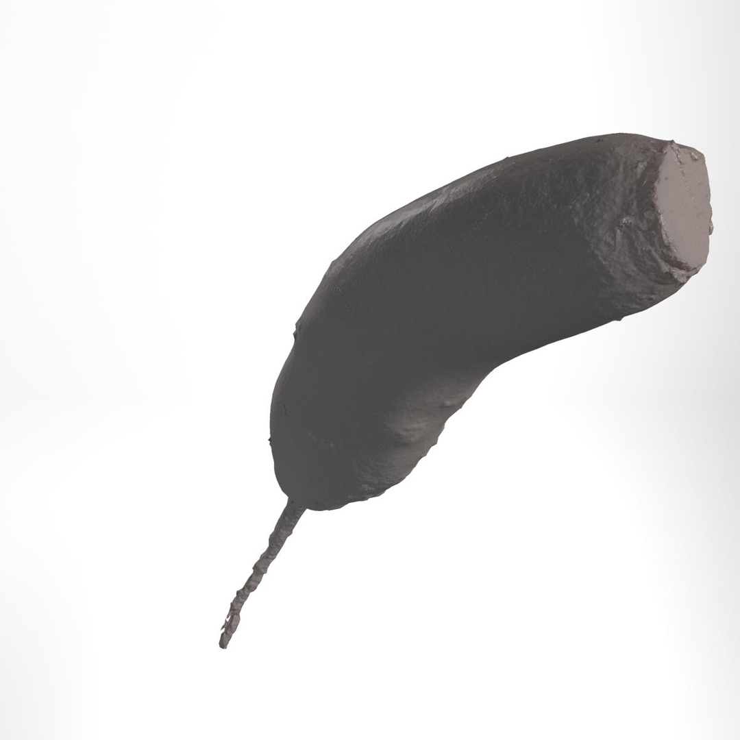 3d red beets smooth model https://p.turbosquid.com/ts-thumb/CV/COEAmp/7tEWLyaQ/v/jpg/1336985583/1920x1080/turn_fit_q99/8a8fdd629d21803d2cdc330734c5e8321f897578/v-1.jpg