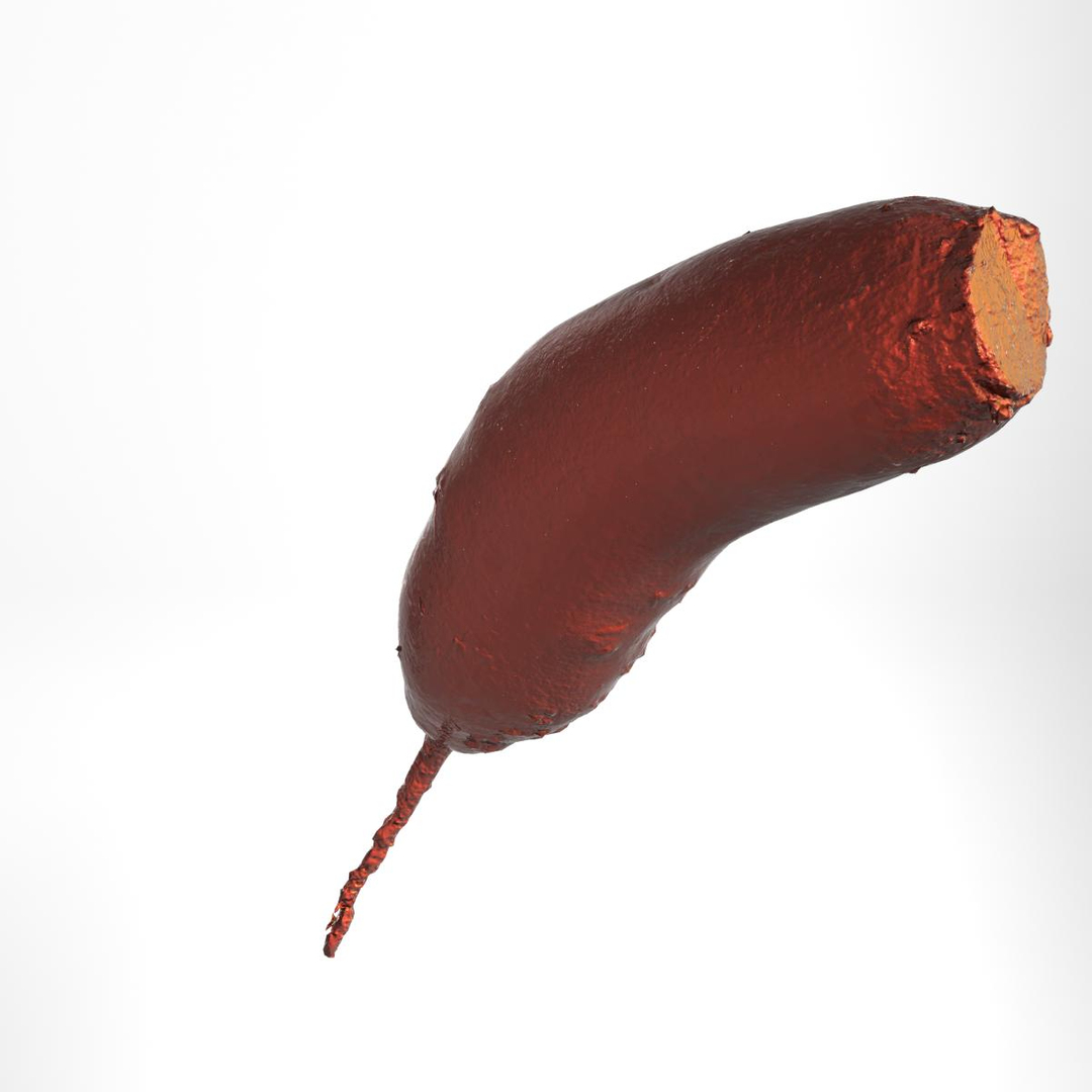 3d red beets smooth model https://p.turbosquid.com/ts-thumb/CV/COEAmp/gMDAgYwY/v/jpg/1336985368/1920x1080/turn_fit_q99/3ea6a0baaf2d40135c1fb9e63fde3d9645a5e59c/v-1.jpg