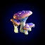 MUSHROOM CLUSTER