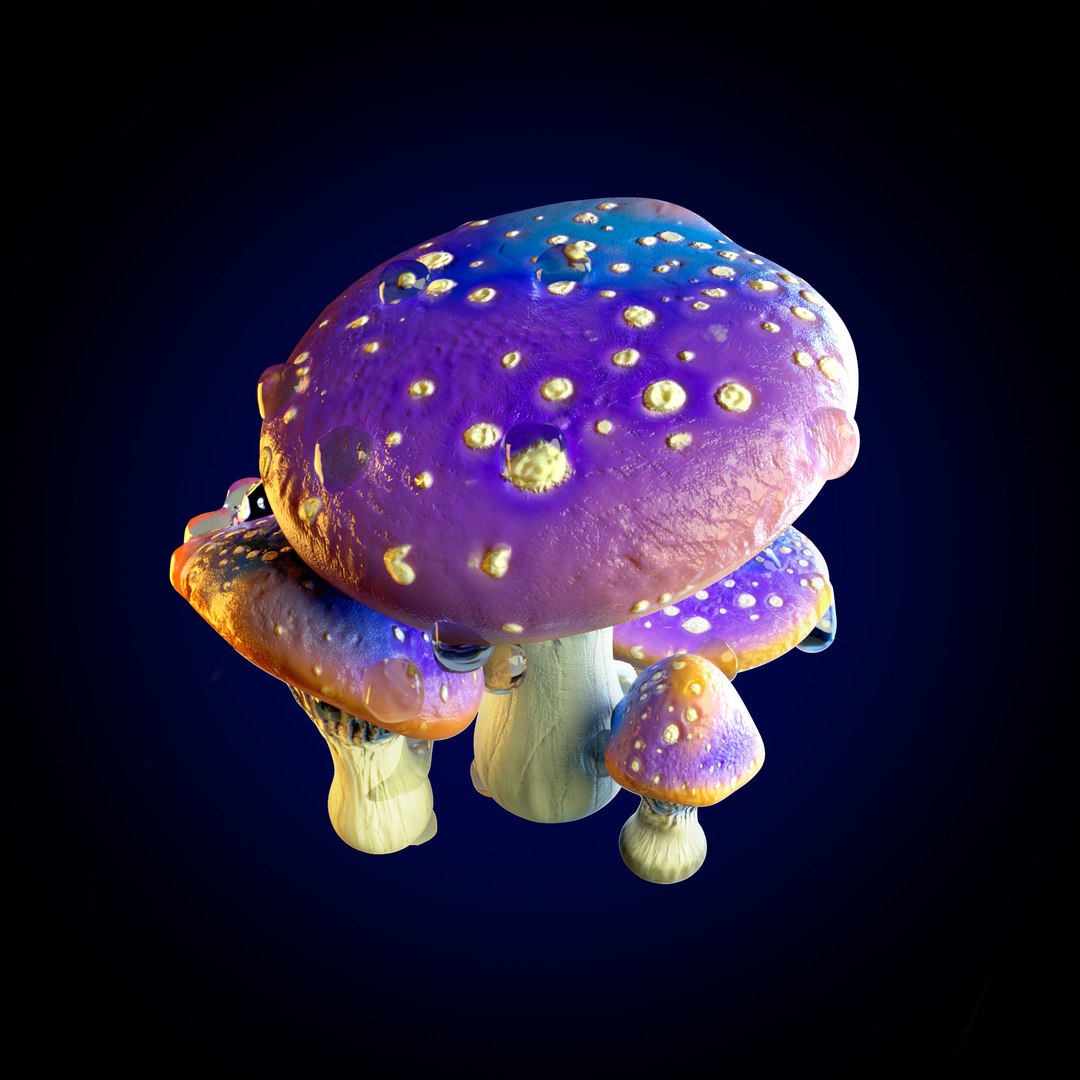 3D model MUSHROOM CLUSTER https://p.turbosquid.com/ts-thumb/CV/H72ApO/Hb/mushroom_group_01_stills_004/jpg/1741700318/1920x1080/fit_q87/ed848dfb1f38887e4be83d3021327af28fbd363b/mushroom_group_01_stills_004.jpg