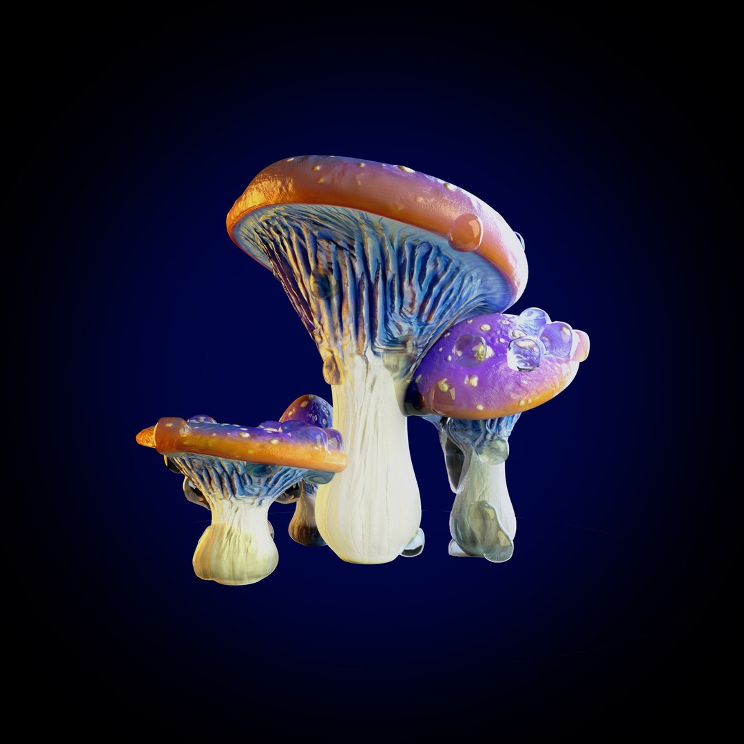 3D model MUSHROOM CLUSTER https://p.turbosquid.com/ts-thumb/CV/H72ApO/iV/mushroom_group_01_stills_002/jpg/1741700406/1920x1080/fit_q87/9cc87138e7e55a155e4c512ea644c5363893893d/mushroom_group_01_stills_002.jpg