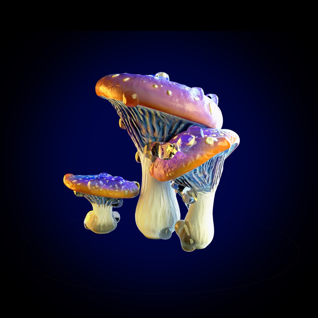 3D model MUSHROOM CLUSTER https://p.turbosquid.com/ts-thumb/CV/H72ApO/oO/mushroom_group_01_stills_003/jpg/1741700406/1920x1080/fit_q87/dfecb5c3b67fd95f86592cd72e2f916a2d683520/mushroom_group_01_stills_003.jpg