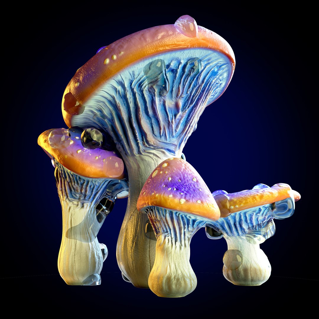 3D model MUSHROOM CLUSTER https://p.turbosquid.com/ts-thumb/CV/H72ApO/zh/mushroom_group_01_stills_006/jpg/1741700318/1920x1080/fit_q87/64832aaba48a0b1536991222e68cc91277f05aef/mushroom_group_01_stills_006.jpg