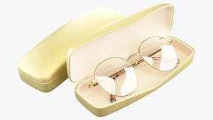 3D model Glasses with case