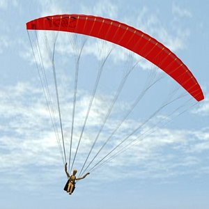 Paraglider