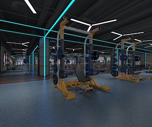 Gym physical exercise fitness equipment weightlifting equipment area treadmill 3D model