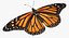 3d danaus plexippus monarch butterfly