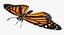 3d danaus plexippus monarch butterfly