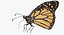 3d danaus plexippus monarch butterfly