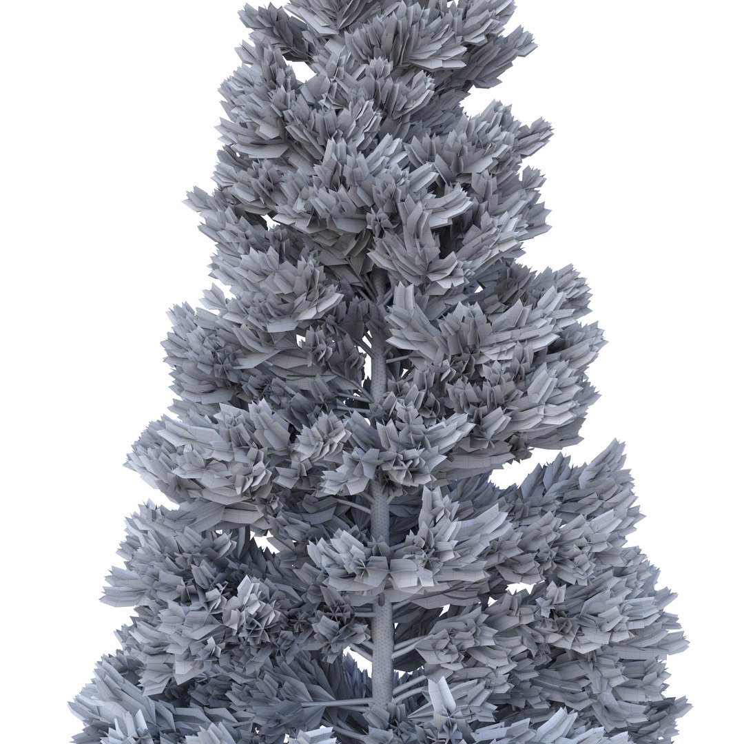 3D Picea Abies Set 5 - 3 in 1 https://p.turbosquid.com/ts-thumb/CV/xifbK1/1M/rend52/jpg/1630910561/1920x1080/fit_q87/ff0ef2b36043390c48edab2b501440900a28804f/rend52.jpg