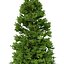 Picea Abies Set 5 - 3 in 1