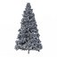 Picea Abies Set 5 - 3 in 1