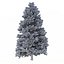 Picea Abies Set 5 - 3 in 1