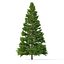 Picea Abies Set 5 - 3 in 1