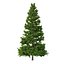 Picea Abies Set 5 - 3 in 1