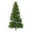 Picea Abies Set 5 - 3 in 1