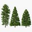Picea Abies Set 5 - 3 in 1
