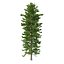 Picea Abies Set 5 - 3 in 1