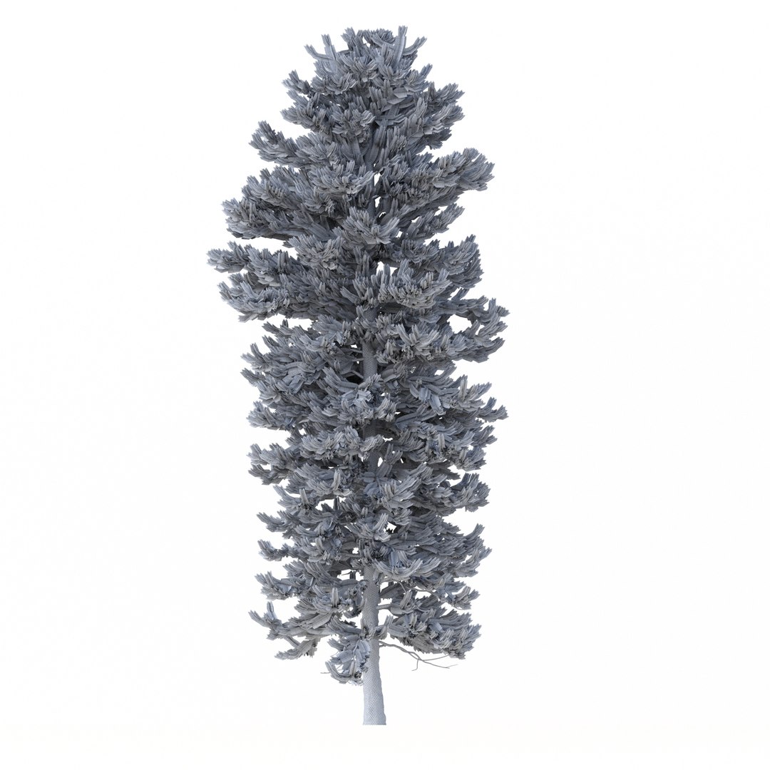 3D Picea Abies Set 5 - 3 in 1 https://p.turbosquid.com/ts-thumb/CV/xifbK1/Yh/rend3.21/jpg/1630910536/1920x1080/fit_q87/17722e273a7cc91c2a4905e48bd06a140bdd73b7/rend3.21.jpg