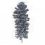 Picea Abies Set 5 - 3 in 1