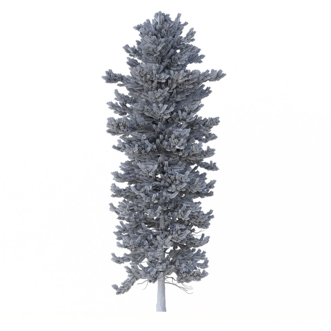 3D Picea Abies Set 5 - 3 in 1 https://p.turbosquid.com/ts-thumb/CV/xifbK1/Zc/rend3.11/jpg/1630910512/1920x1080/fit_q87/858fd62845eec20a2ee8678da2df35202f79508b/rend3.11.jpg