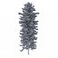 Picea Abies Set 5 - 3 in 1
