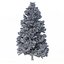 Picea Abies Set 5 - 3 in 1