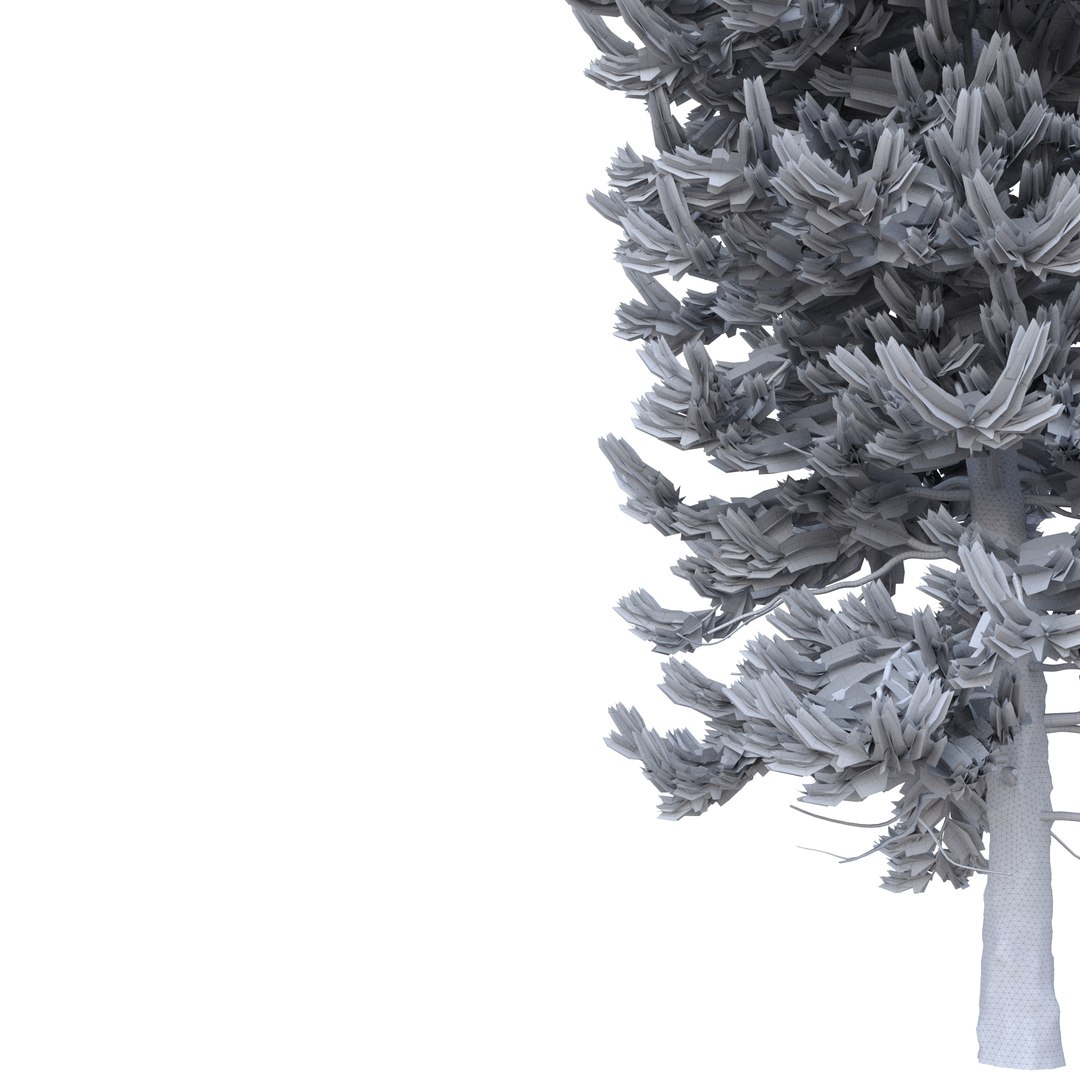 3D Picea Abies Set 5 - 3 in 1 https://p.turbosquid.com/ts-thumb/CV/xifbK1/ol/rend51/jpg/1630910486/1920x1080/fit_q87/4b9614057b74dcccbf4772bfdc45db496705d466/rend51.jpg
