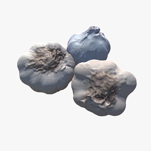 Scanned Garlic 3D model