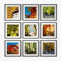 Picture Frame Wall 25