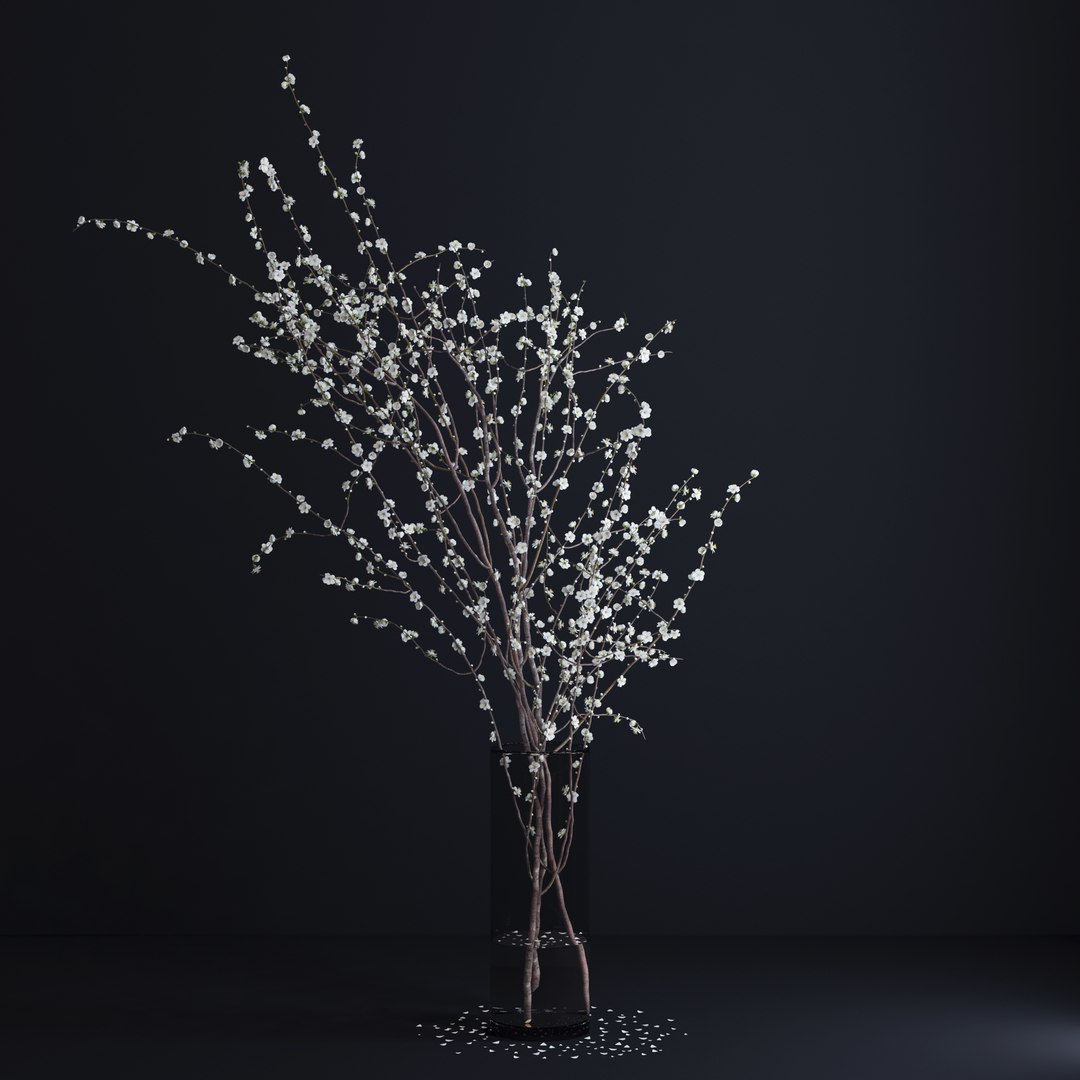 vase white blossom flowers max https://p.turbosquid.com/ts-thumb/CW/UUt87u/C4qW0Ggc/v5/jpg/1463747726/1920x1080/fit_q87/a20ca7e1c06702a0b5c5357a0e09af66d5bffbb5/v5.jpg
