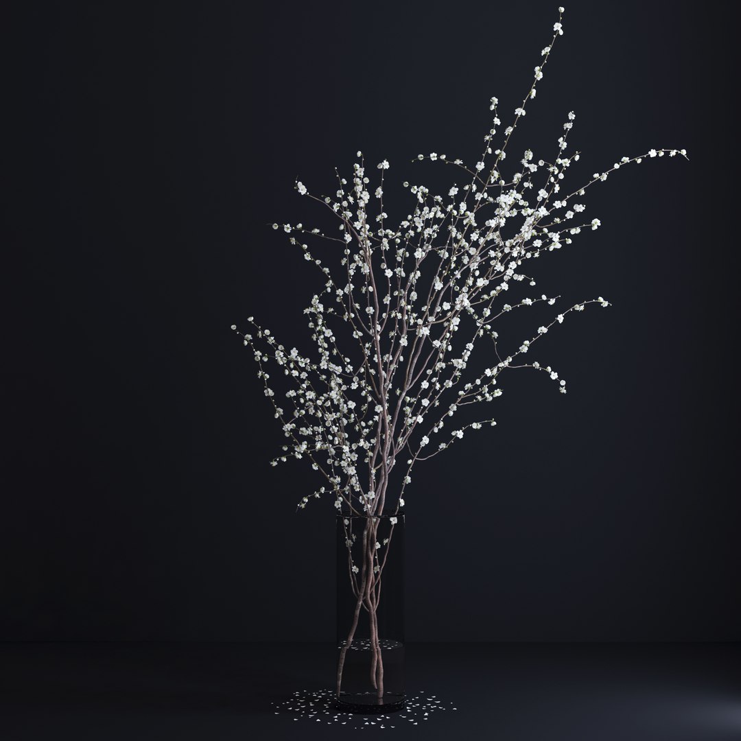 vase white blossom flowers max https://p.turbosquid.com/ts-thumb/CW/UUt87u/XnpUiayl/v3/jpg/1463747726/1920x1080/fit_q87/0544563f54215d3f726fb86d996b2bfe81bea3e4/v3.jpg