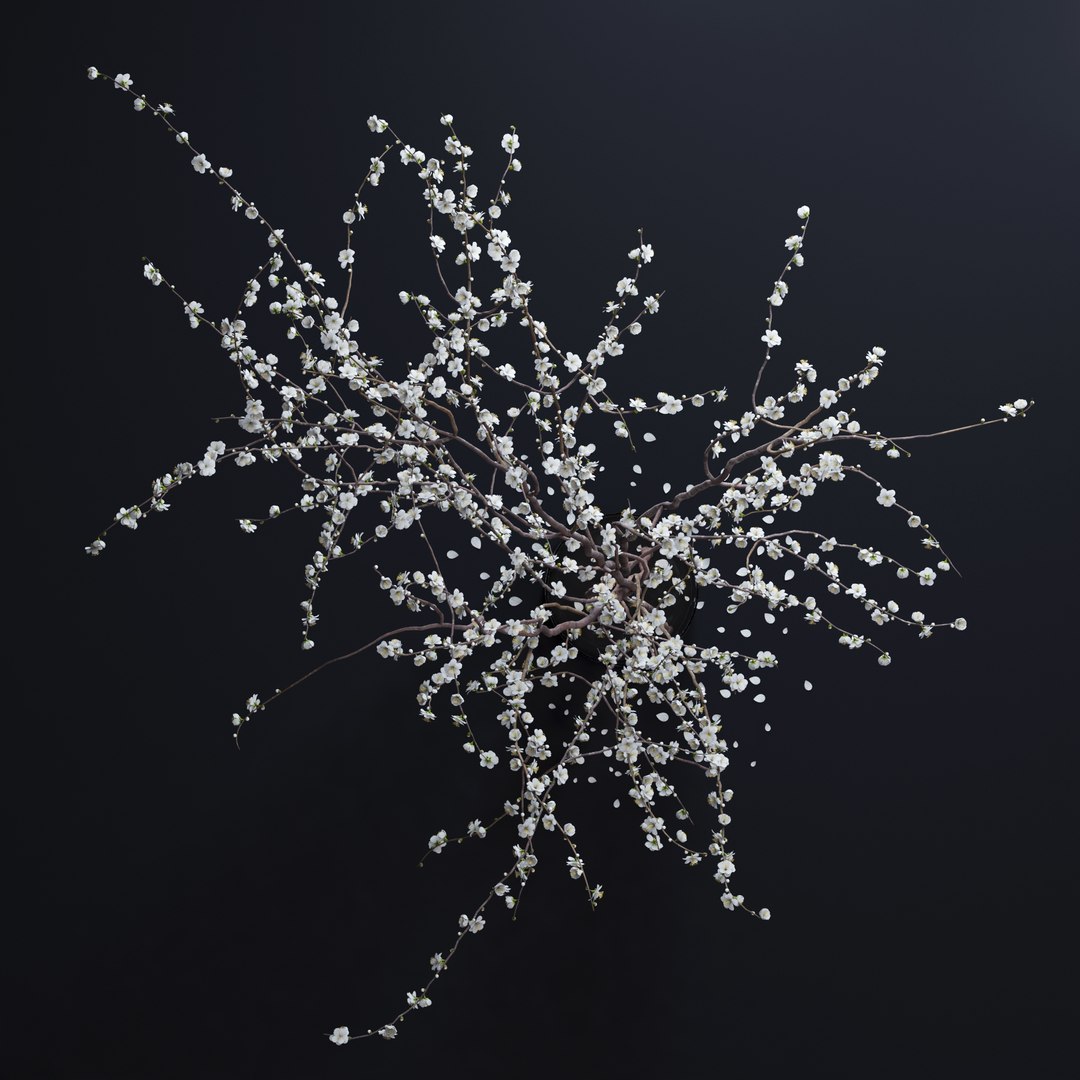 vase white blossom flowers max https://p.turbosquid.com/ts-thumb/CW/UUt87u/YnT0ojP2/v12/jpg/1463747736/1920x1080/fit_q87/849b6f40689e2337e911481fb75b67dfa7604c03/v12.jpg