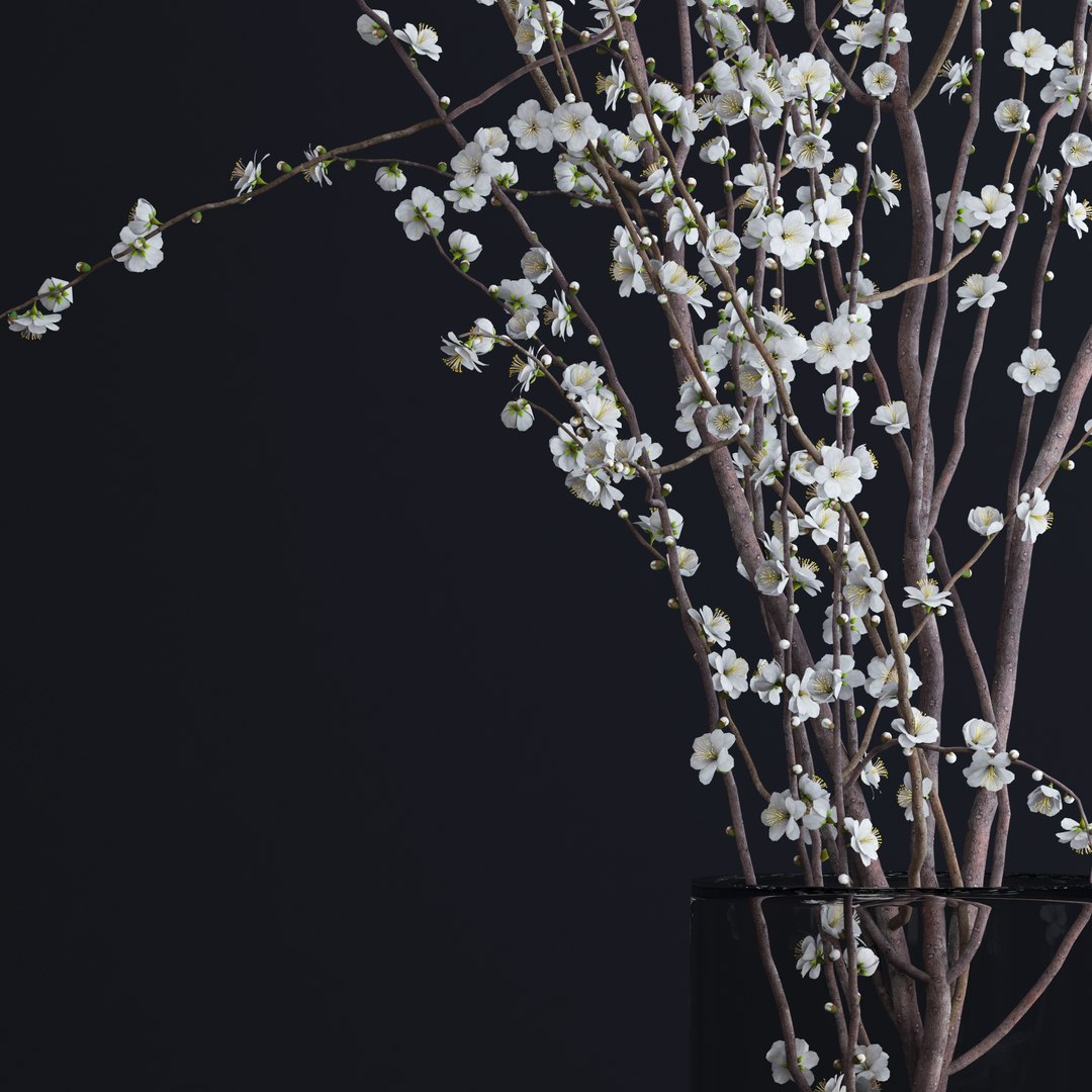 vase white blossom flowers max https://p.turbosquid.com/ts-thumb/CW/UUt87u/dFMzRpTG/v7/jpg/1463747726/1920x1080/fit_q87/61f8839064d5715fc30aabbb6a4b988421f1100f/v7.jpg