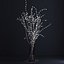 Prunus White Blossom