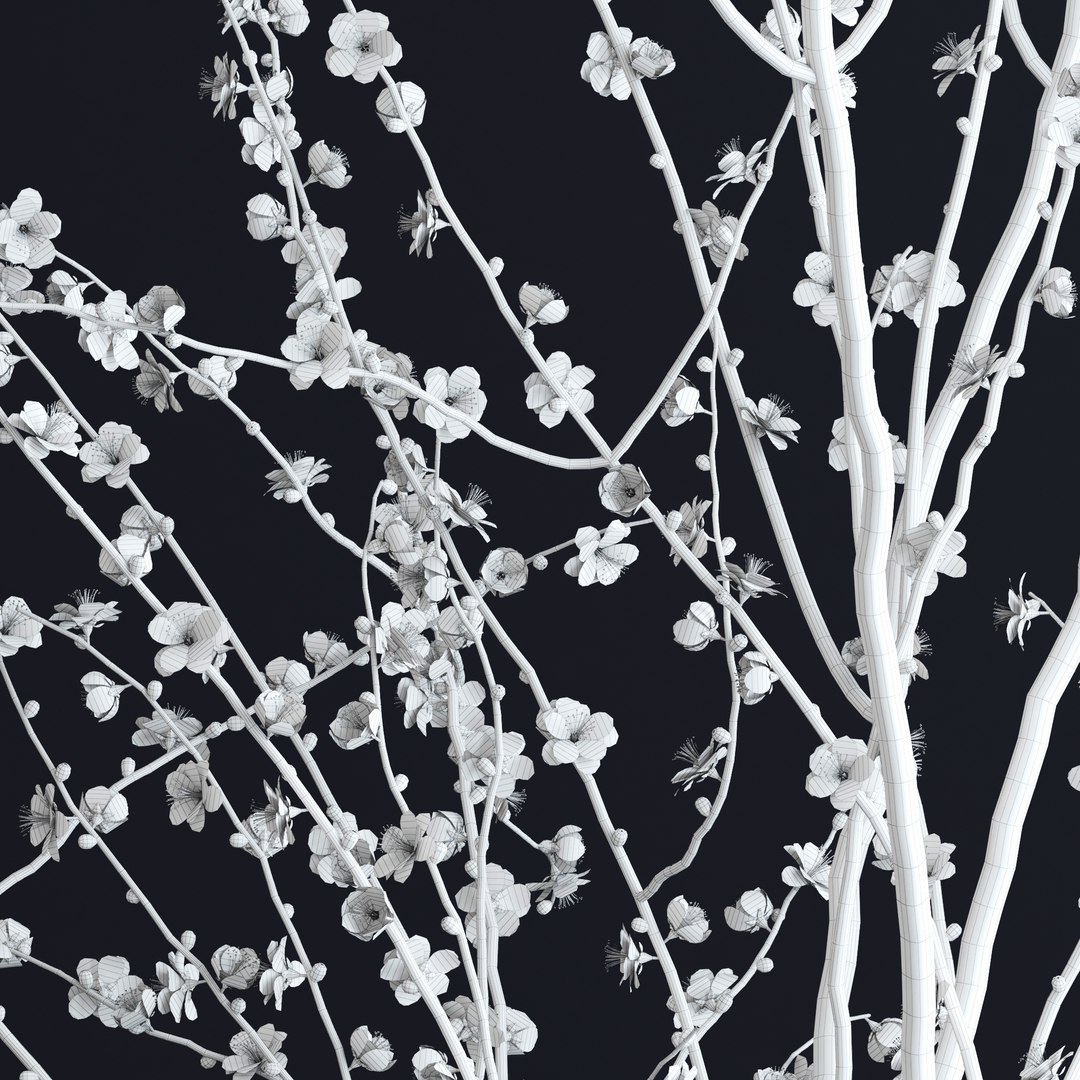 vase white blossom flowers max https://p.turbosquid.com/ts-thumb/CW/UUt87u/vHjLuOHf/v9/jpg/1463747726/1920x1080/fit_q87/31abb861fc3445252abf89db94750481d842fa96/v9.jpg