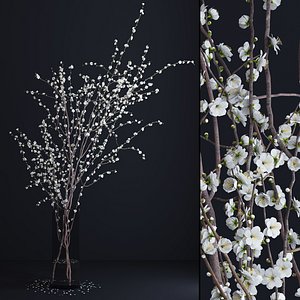 vase white blossom flowers max