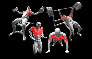 Chest Exercises Pack - Dumbbell Flyes - Bar Dips - Push Ups - Bench Press
