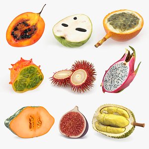 Cutted Exotic Fruits Collection 5 3D