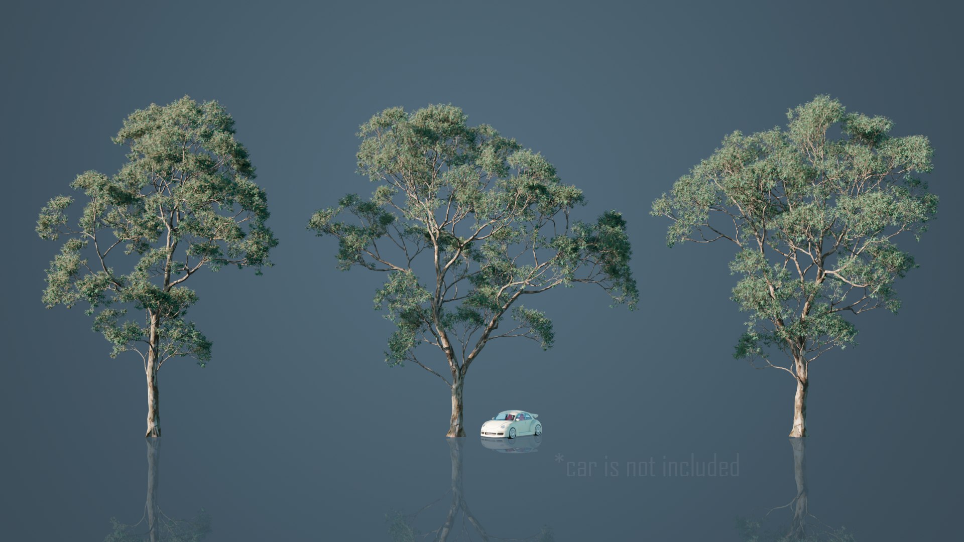 Eucalyptus Willow Trees model https://p.turbosquid.com/ts-thumb/CW/uKJZds/ik/1/png/1631470998/1920x1080/fit_q87/341706a6d41dca96acd36d3d05ddfa2c99f33327/1.jpg