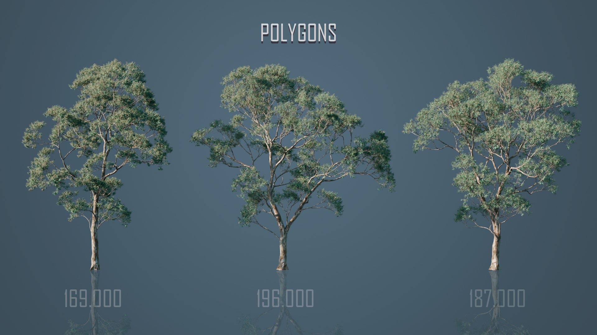 Eucalyptus Willow Trees model https://p.turbosquid.com/ts-thumb/CW/uKJZds/km/8/png/1631471006/1920x1080/fit_q87/3162491c90c8728f7d9b6291e28730d9bed85a48/8.jpg