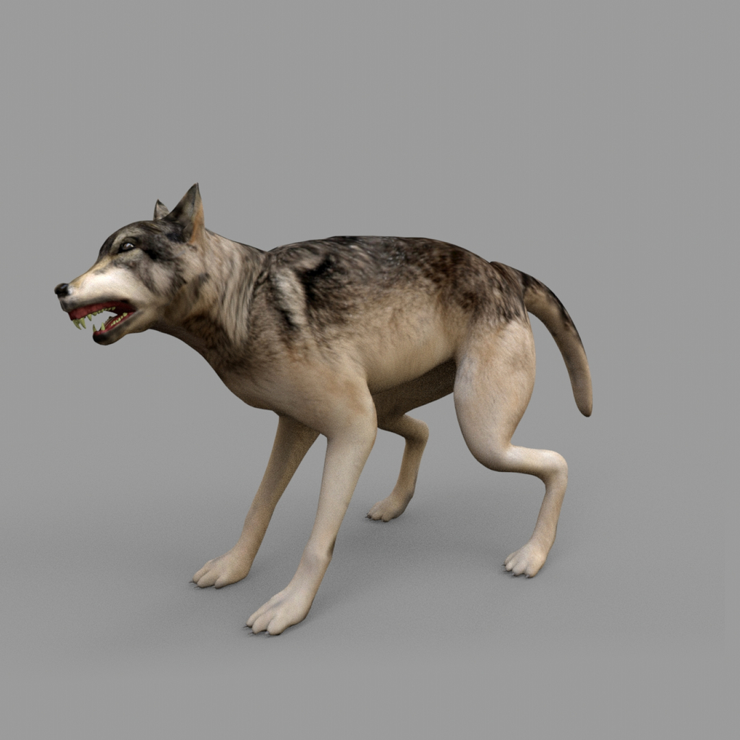 3D wolf rig - TurboSquid 1375008